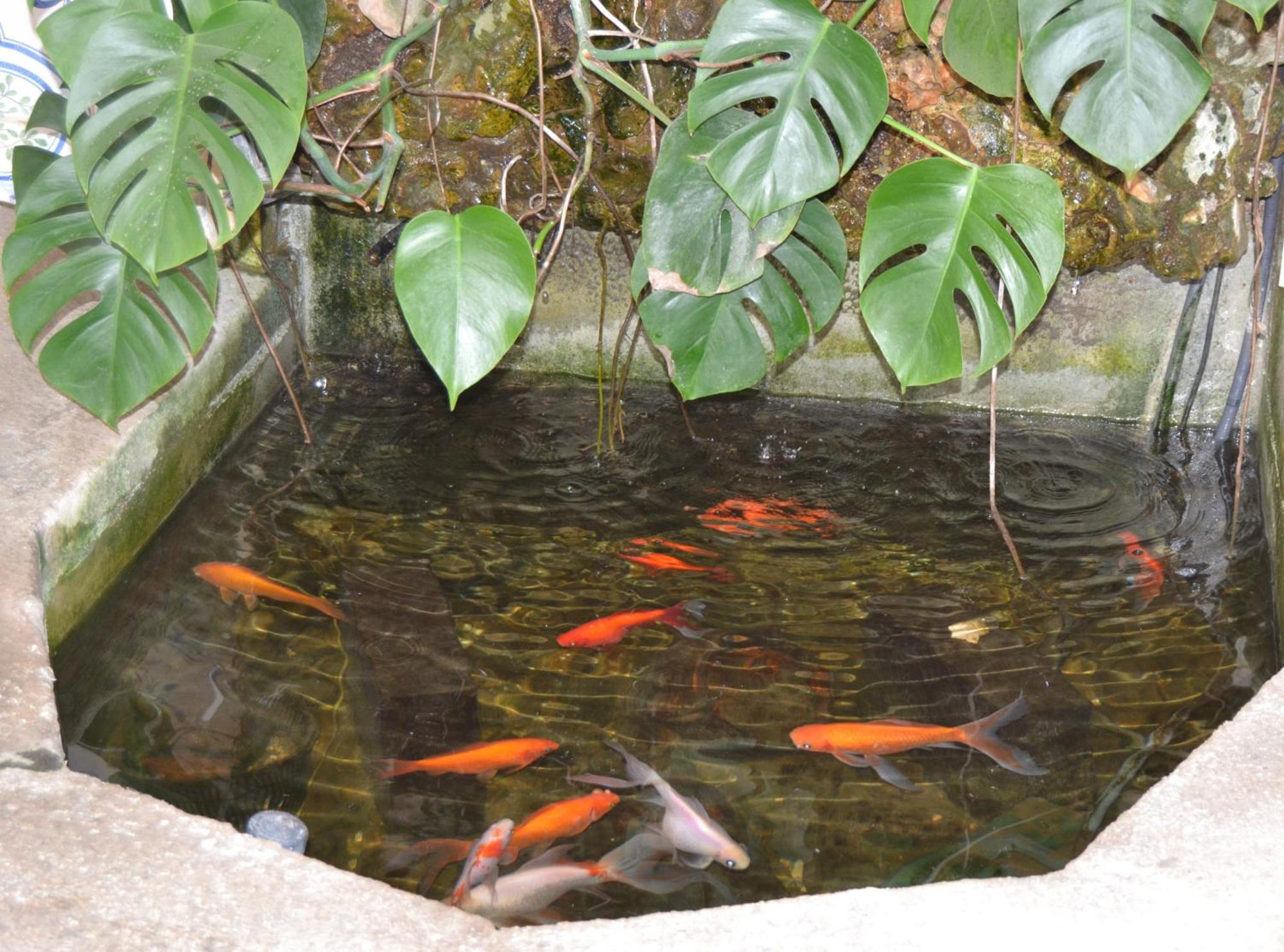 Marina Vila House 马斯诺 外观 照片